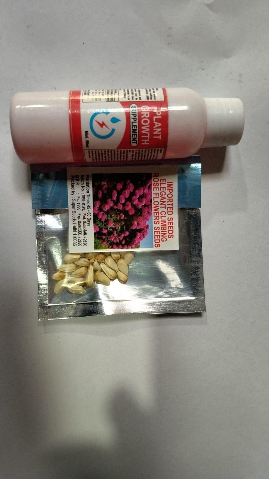 Elegant Climbing Rose Flower Seeds